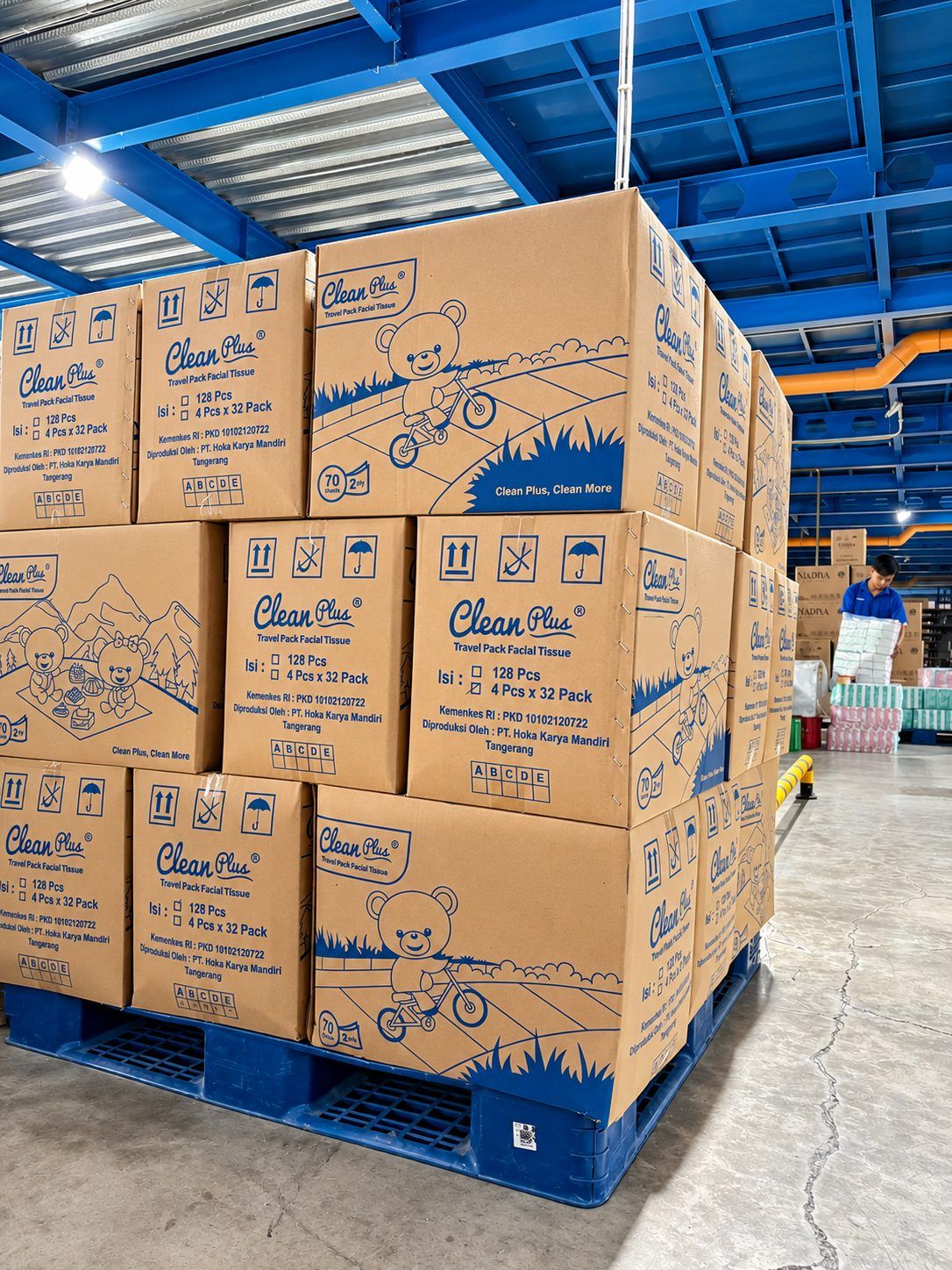 Pallet of Clean Plus cartons made by Hoka